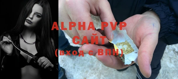apvp Верея