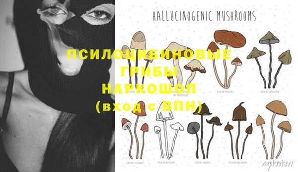 прущая мука Новосибирск